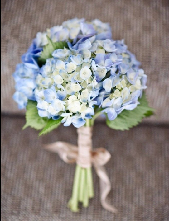 Hydrangea Prom Bouquet