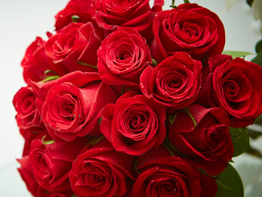 Red Passion