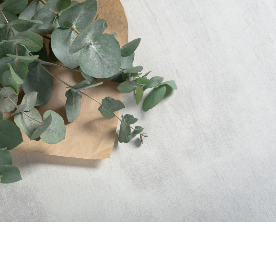 Winter Refresh Eucalyptus