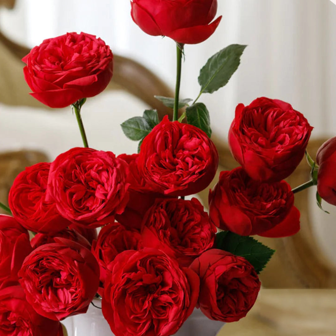 Red Garden Roses!