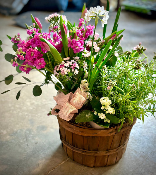 Potted and Fresh arrangement Combo