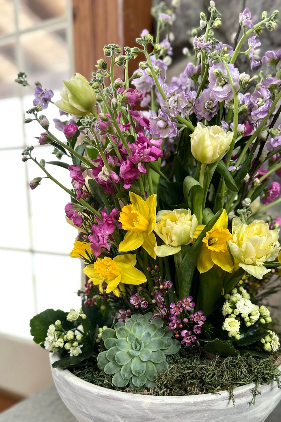 Potted and Fresh arrangement Combo